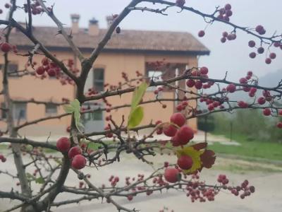 Agriturismo Ben Ti Voglio - 0