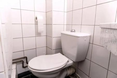 Ours Blanc - Place Victor Hugo - 50