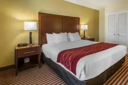 Comfort Inn Maingate - 30