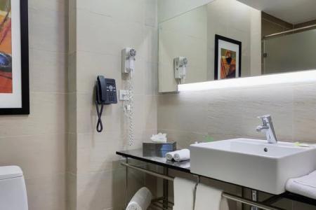 Holiday Inn Santo Domingo & Suites, An Ihg - 52