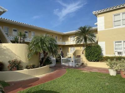 The Palms - 0