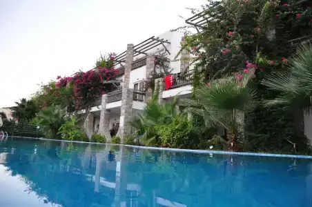 Ayaz Aqua - 15