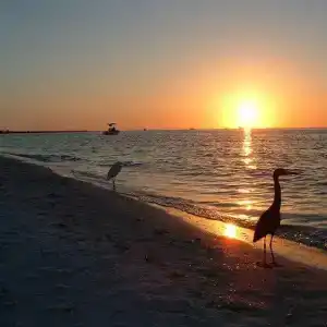 Gulfview Manor - 16