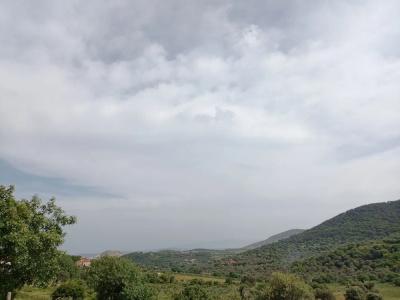 Delice Doğa Evi - 22