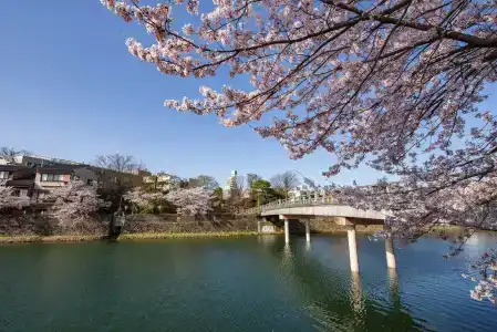 Ana Crowne Plaza Kanazawa, An Ihg - 18