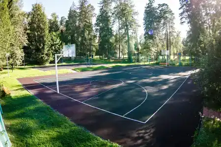 Лесные Дали - 17