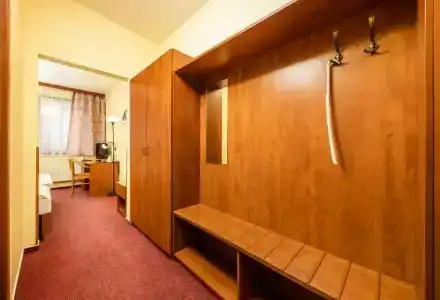 Záviš z Falkenštejna - 40