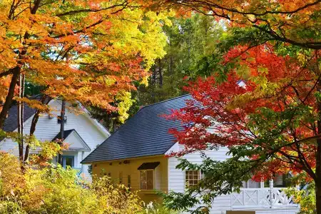 Resort Villa Takayama - 49