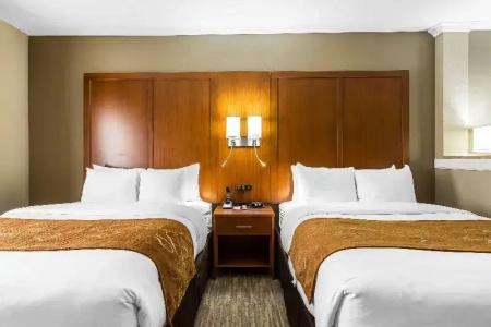 Comfort Suites - University - 47