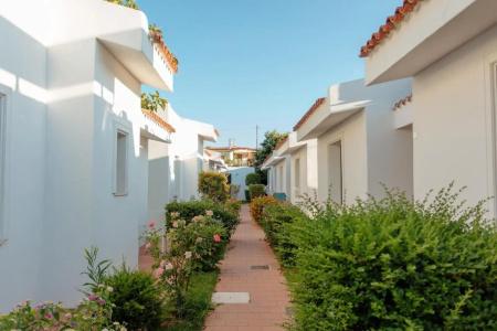 Fior di Sardegna - 39