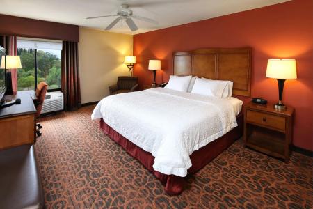 Hampton Inn & Suites Tucson Mall - 2