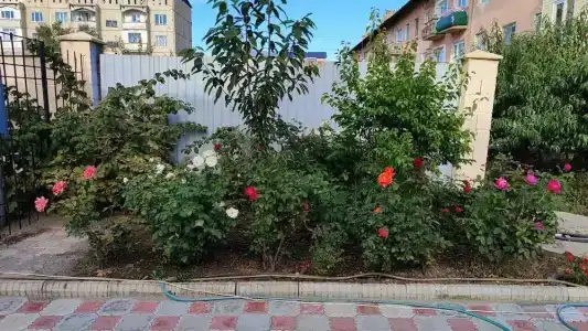 Tagaitai Guest House - 23