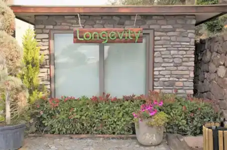 Assos Longevity - 0