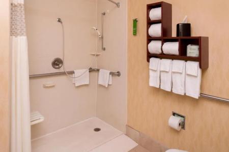 Hampton Inn San Antonio Stone Oak - 52