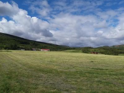 Ásólfsstaðir - 13