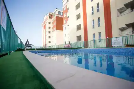Цитрус - 8