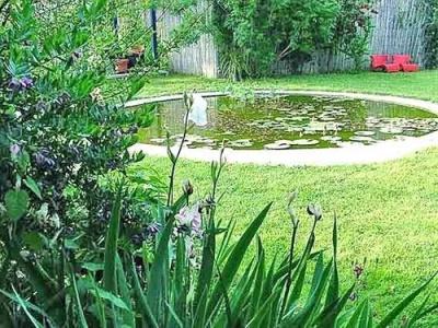 La Gallina Felice b&b - 12