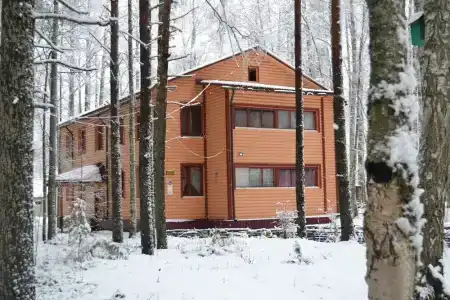 Сандал - 19