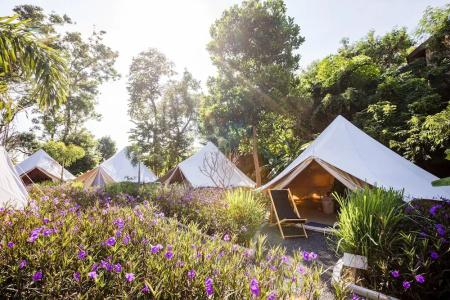 Roost Glamping - SHA Certified - 33