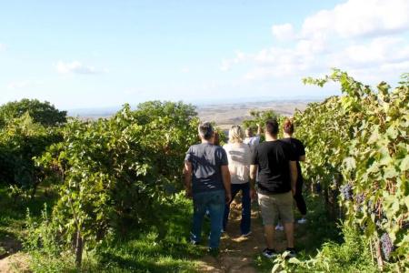 Poggio Al Vento - 39