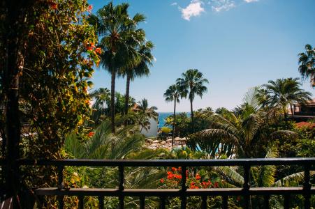 Parque Tropical - 22