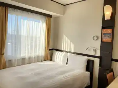 Toyoko Inn Iwatsuki Ekimae - 0