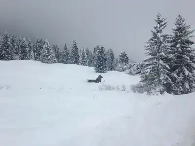 Krone Tirol - 19
