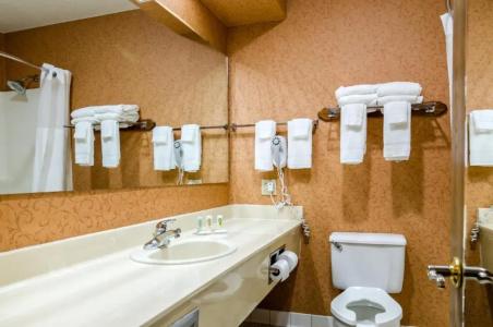 Quality Inn South - 61