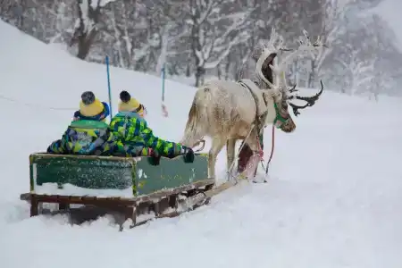 The Green Leaf, Niseko Village - 13