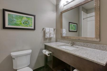 Best Western Plus Tech Medical Center Inn - 49