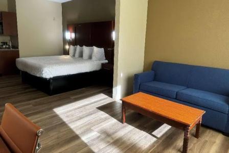Microtel Inn & Suites by Wyndham College Station - 99