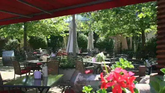 Weisser Schwan - 10