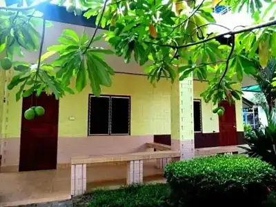 Saithong - 49