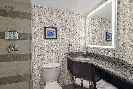 Holiday Inn Downtown Centre By Ihg - 28