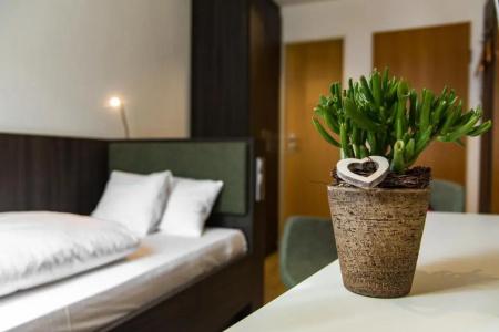 Insel-Hotel-Lindau - 20