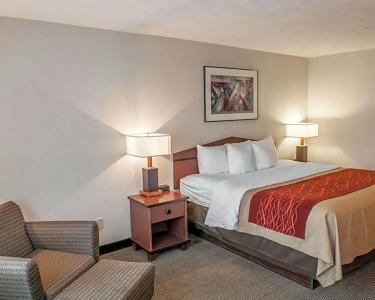 Comfort Inn Indianapolis South I-65 - 31
