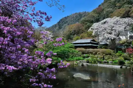 Yoshiike Ryokan - 30
