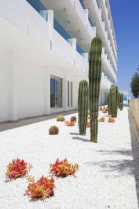 The Sea by Grupotel - Adults Only - 26