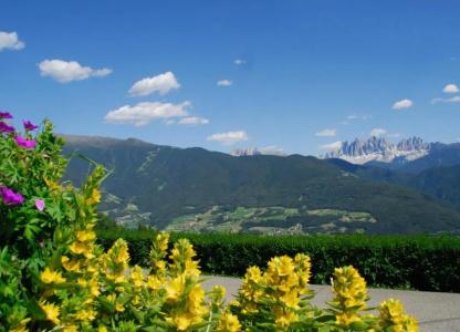 Stocknerhof - 4