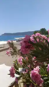 uĞUr Beach - 8