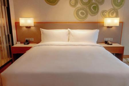 Holiday Inn Chengdu Qinhuang, An Ihg - 4