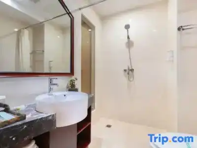 Ibis Budget Singapore Sapphire (SG Clean) - 52