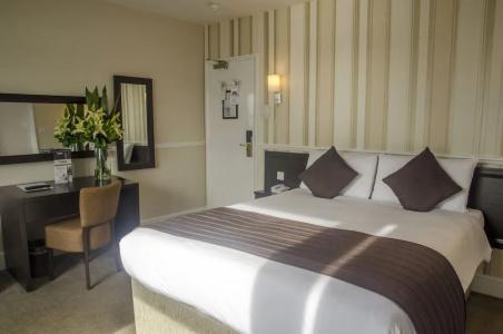 The Brighton - 40