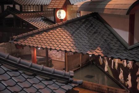 Kagoshima Sunamushionsen Ibusuki Hakusuikan - 46