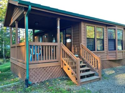 Park and Cabins - 45