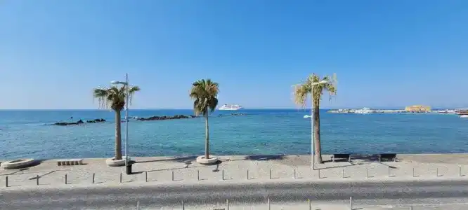 Paphinia SeaView - 14