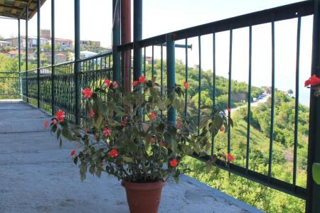 Guest House Shota - 14