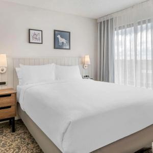 Sonesta Es Suites San Antonio Downtown Alamo Plaza - 43