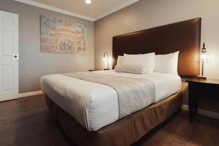 The Dixie Hollywood - 23