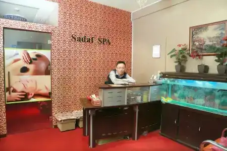 Sadaf - 17